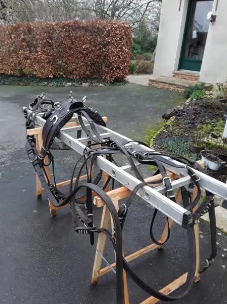 Diverses Calèches et Harnais