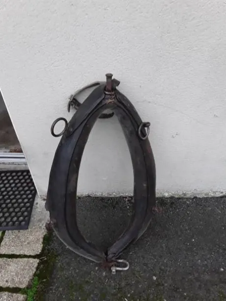 Diverses Calèches et Harnais