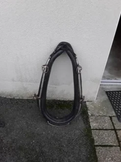 Diverses Calèches et Harnais