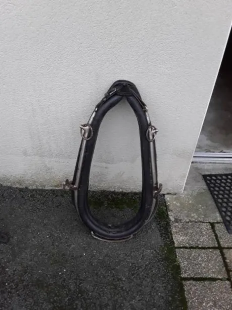 Diverses Calèches et Harnais