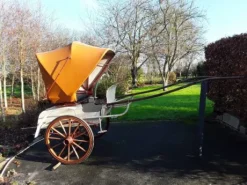 Diverses Calèches et Harnais