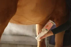 Démêlant Lustrant Easy Shine Intense - Ravene