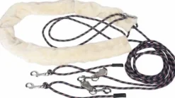 Enrenement pessoa - Harrys horse