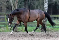 Enrênement de longe coton - Horka