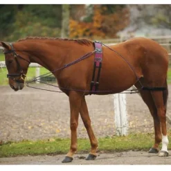 Enrênement de longe Norton