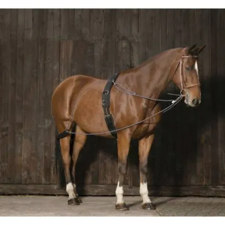 Enrênement de longe Pessoa Norton