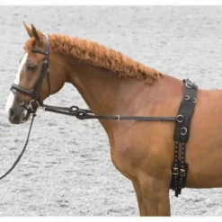 Enrênement Pirelli Riding World