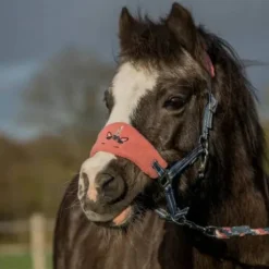 Ensemble licol et longe Jollycorn - Horka