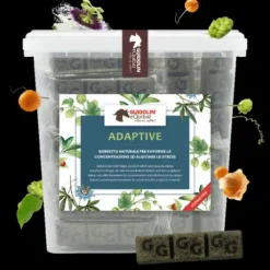 Equibar Adaptative 2kg - Guidolin