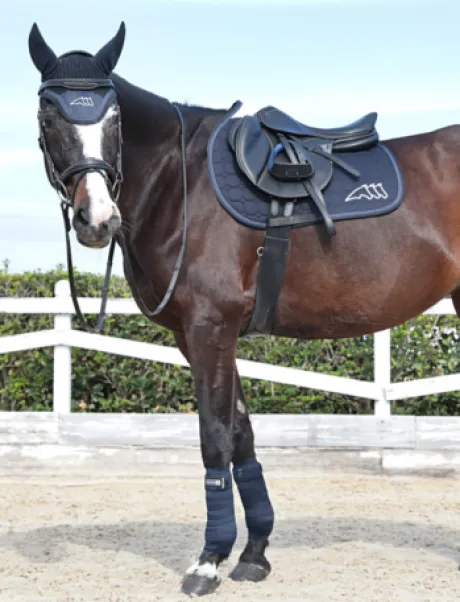 Etriers X-Cel avec système de sécurité - Equiline