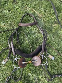 Filet Bel Ami, de Alain Ventre