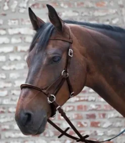 Filet sans mors Linda Tellington Jones