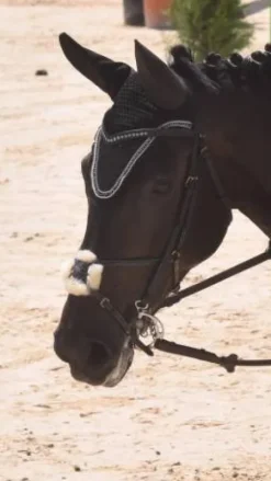 Filet taille cheval noir