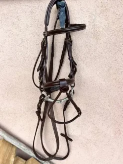 Filets poney / shetland