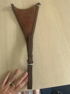 Fourche martingale, Cwd