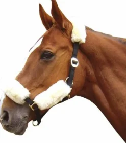 Fourreau mérinos pour licol - Harry's horse - ensemble de 4