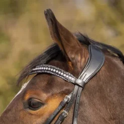 Frontal en cuir Skye - QHP - Bouton pression