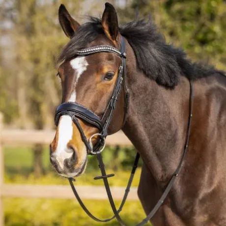 Frontal en cuir Skye - QHP - Bouton pression