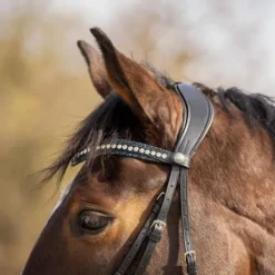 Frontal en cuir Skye - QHP - Bouton pression