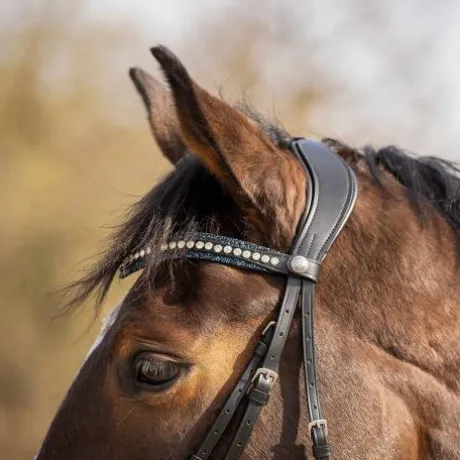 Frontal en cuir Skye - QHP - Bouton pression