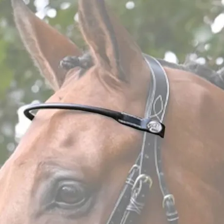 Frontal Monday Collection Week Jump in