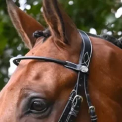 Frontal Monday Collection Week Jump in