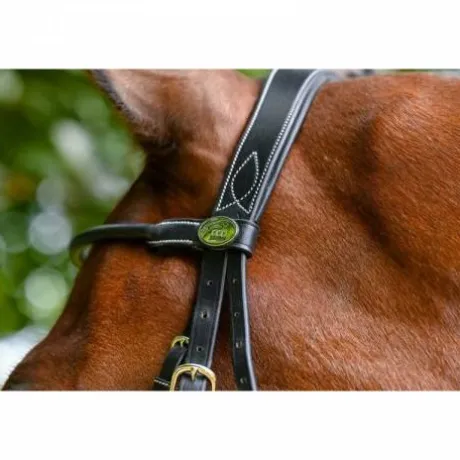 Frontal Monday Collection Week Jump in