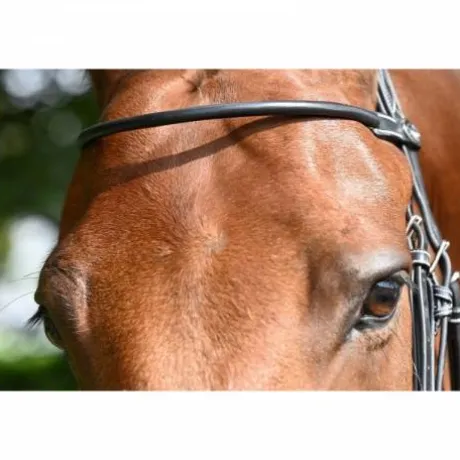 Frontal Monday Collection Week Jump in