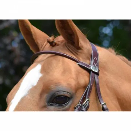 Frontal Monday Collection Week Jump in