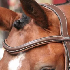 Frontal New York - Collection One Jump in