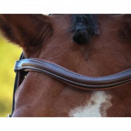 Frontal New York - Collection One Jump in