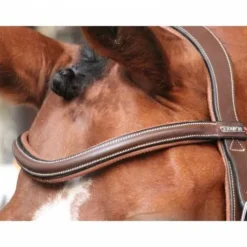 Frontal New York - Collection One Jump in