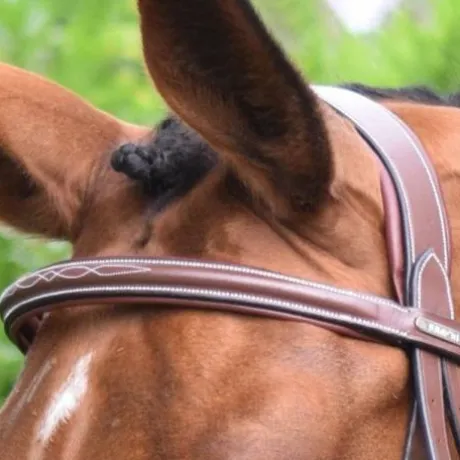 Frontal Paris - Collection One Jumpin