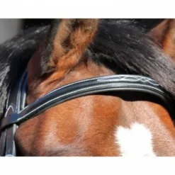 Frontal Paris - Collection One Jumpin