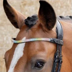 Frontal Rainbow - HARRY'S HORSE - Cuir avec cristaux