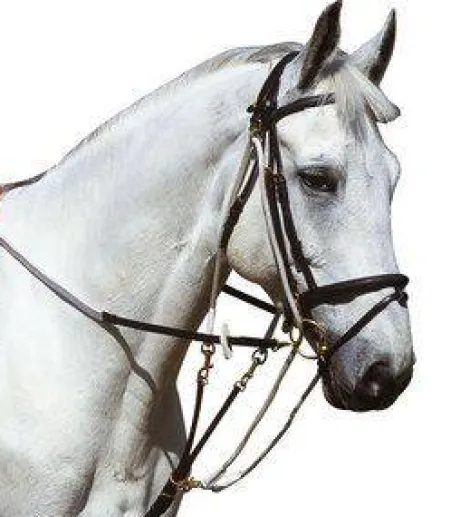 Gogue à poulies Marron - Norton