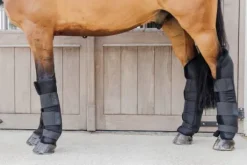 Guetre de repos PROtect Classic - KENTUCKY