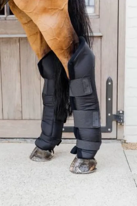 Guetre de repos PROtect Classic - KENTUCKY