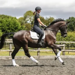 Guêtre dressage Equilibrium Nouvelle Version