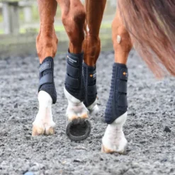 Guêtre dressage Equilibrium Nouvelle Version