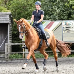 Guêtre dressage Equilibrium Nouvelle Version