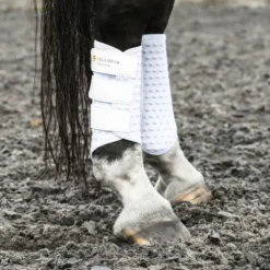 Guêtre dressage Equilibrium Nouvelle Version