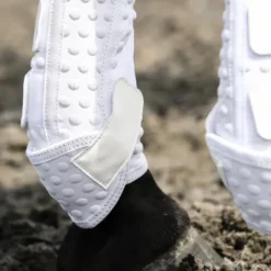 Guêtre dressage Equilibrium Nouvelle Version