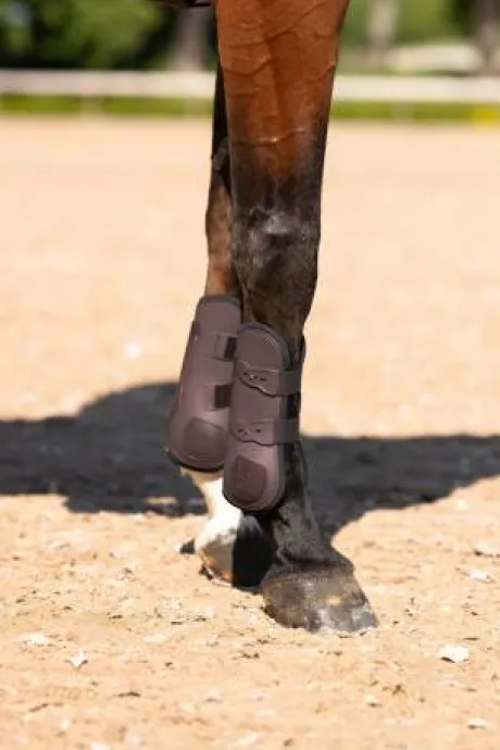 Guêtres Anatomic Moonless Night - Equestrian Stockholm