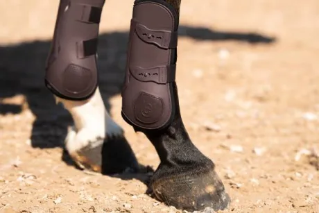 Guêtres Anatomic Moonless Night - Equestrian Stockholm