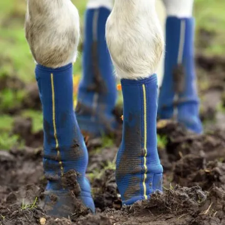 Guêtres close contact - Equilibrium