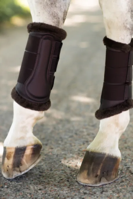 Guêtres de dressage Moonless Night - Equestrian Stockholm
