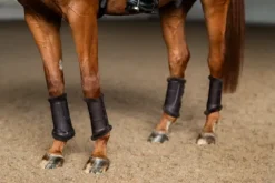 Guêtres de dressage Moonless Night - Equestrian Stockholm