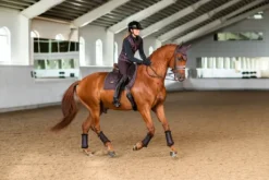 Guêtres de dressage Moonless Night - Equestrian Stockholm