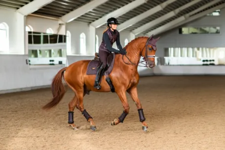 Guêtres de dressage Moonless Night - Equestrian Stockholm